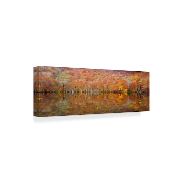 Sho Shibata 'Glowing Autumn Forest' Canvas Art,16x47